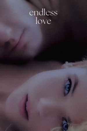 Endless Love's poster