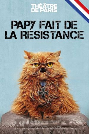 Papy fait de la résistance's poster