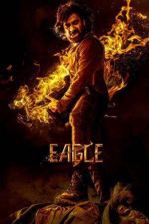 Eagle's poster