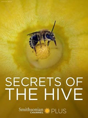 Secrets of the Hive's poster