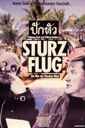 Sturzflug's poster
