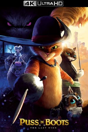Puss in Boots: The Last Wish's poster