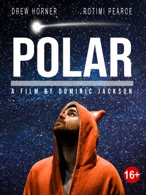 Polar's poster