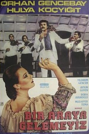 Bir Araya Gelemeyiz's poster