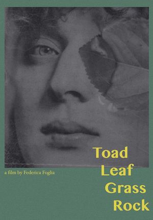 Toad, Leaf, Grass, Rock's poster