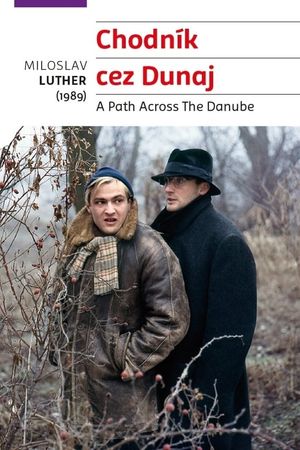 A Path Across the Danube's poster