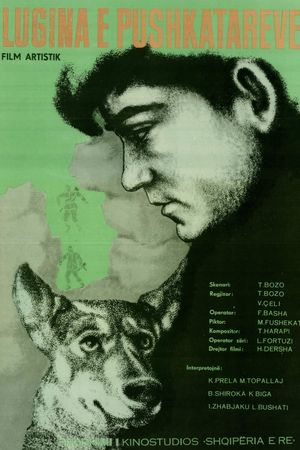 Lugina e pushkatarëve's poster