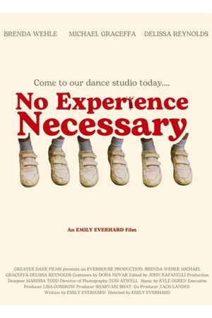 No Experience Necessary's poster