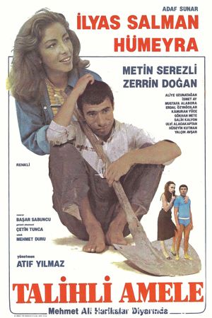 Talihli Amele's poster