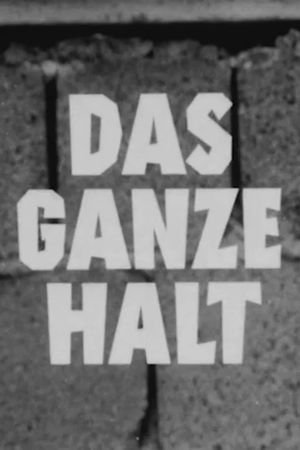 Das Ganze halt's poster