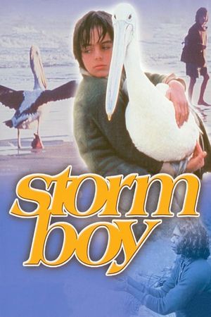 Storm Boy's poster