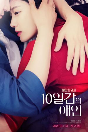 10 Day Lover's poster
