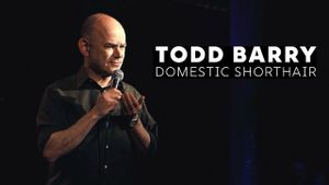Todd Barry: Domestic Shorthair's poster