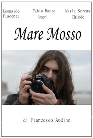 Mare mosso's poster