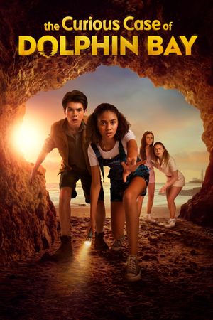 The Curious Case of Dolphin Bay's poster