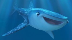 Marine Life Interviews's poster