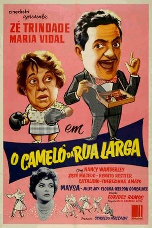 O Camelô da Rua Larga's poster