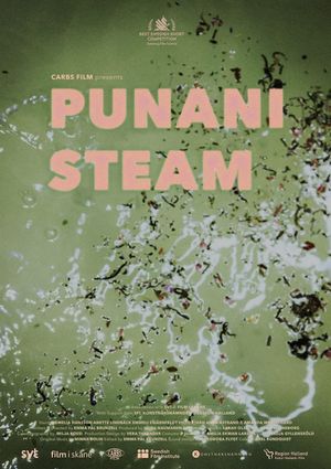 Punani Steam's poster
