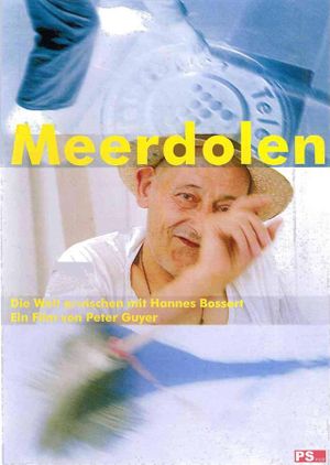 Meerdolen's poster