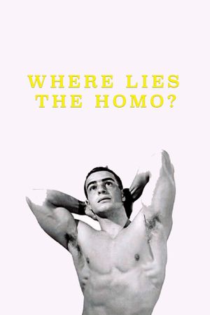 Where Lies the Homo?'s poster