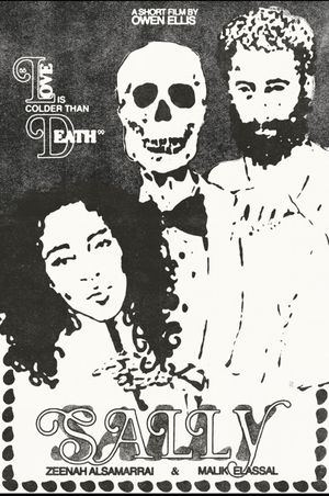 Sally's poster
