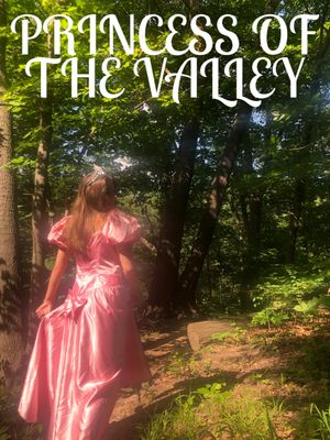 Princess of the Valley's poster