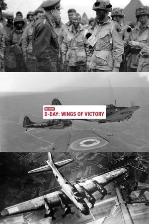 D-Day: Wings of Victory's poster