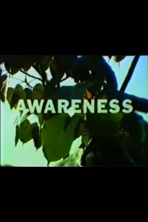 Awareness's poster