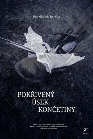 Pokřivený úsek končetiny's poster