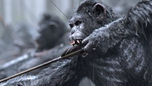 War for the Planet of the Apes's poster