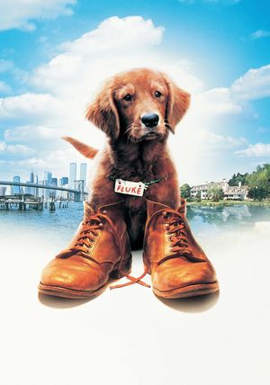 Fluke's poster