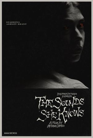 The Sounds She Knows's poster