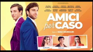 Amici per caso's poster