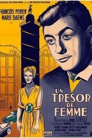 A Woman's Treasure's poster