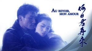 Au Revoir Mon Amour's poster