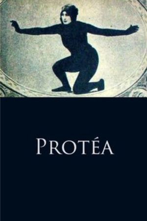 Protéa's poster