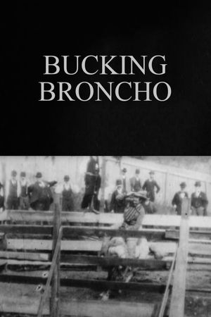 Bucking Broncho's poster