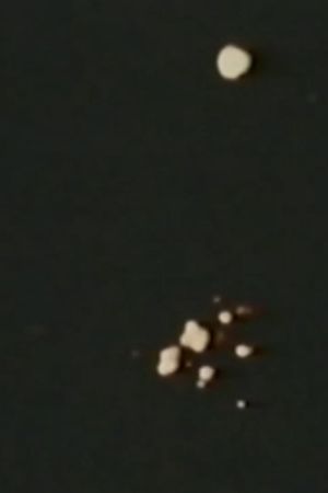 Song 11's poster