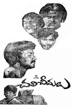 Chali Cheemalu's poster