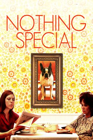 Nothing Special's poster