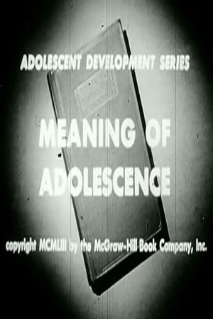 Meaning of Adolescence's poster
