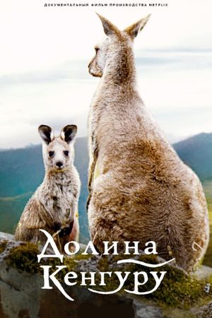 Kangaroo Valley's poster