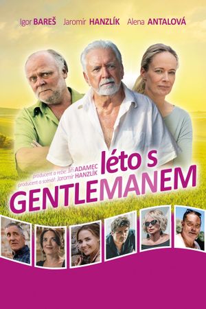 Léto s gentlemanem's poster