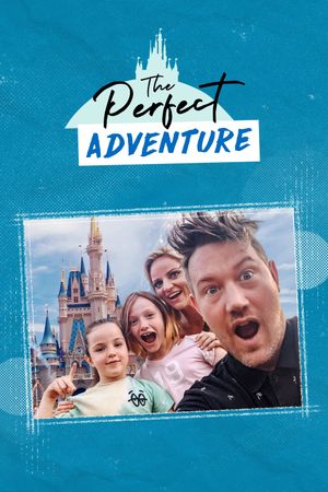 The Perfect Adventure's poster image