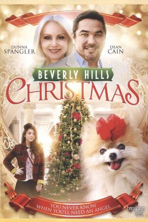 Beverly Hills Christmas's poster