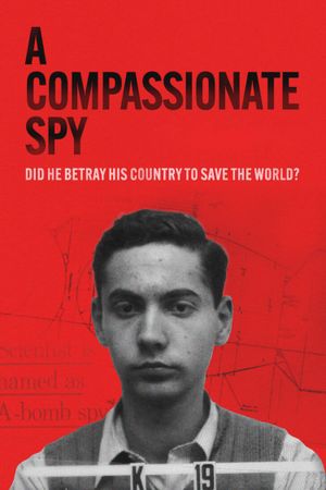 A Compassionate Spy's poster