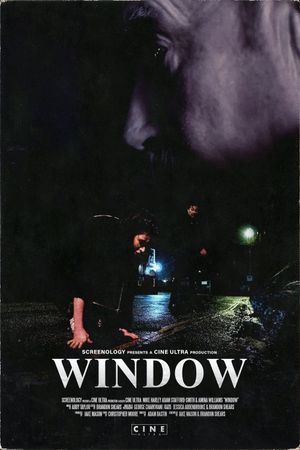 Window's poster image