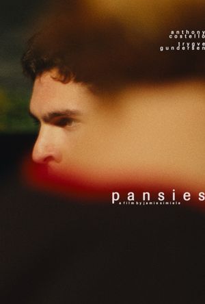 pansies's poster