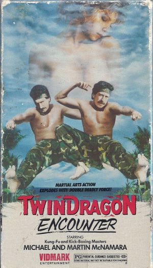 Twin Dragon Encounter's poster image