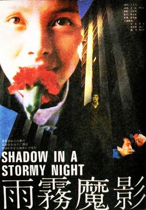 Shadow in a Stormy Night's poster